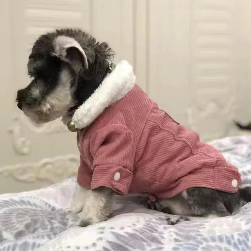 Küçük Köpekler Köpek Giysileri Sonbahar ve Kış Yün Artı Kadife Pet Giyim Malzemeleri Köpek Moda Sıcak Köpek Kadife Elbise