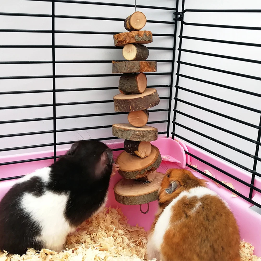 Pet Çiğnemek Oyuncak Apple Ahşap Diş Taşlama Oyuncaklar Hamster Chinchilla Küçük Hayvanlar Diş Çiğneme Oyuncaklar Pet Egzersiz Aksesuarları